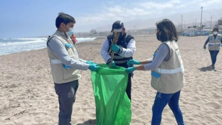 EN LA PROVINCIA DE ILO ESTE SÁBADO 17 REALIZARÁN LA LIMPIEZA COSTERA Y SUBMARINA EN ILO
